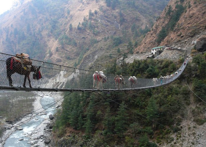 15 самых экстремальных мостов, пройти по которым решатся самые отчаянные смельчаки