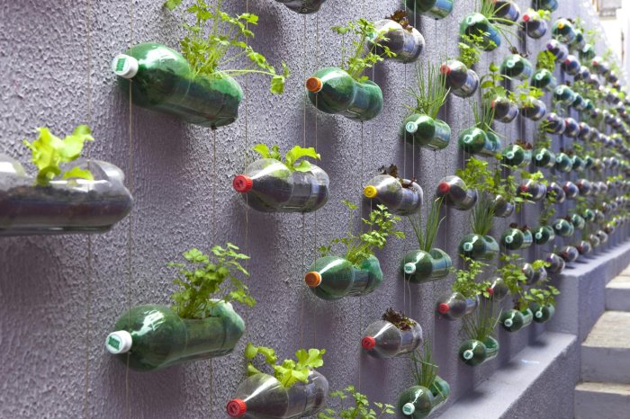 15 идей оригинального озеленения дачи, которые можно быстро и легко реализовать своими силами