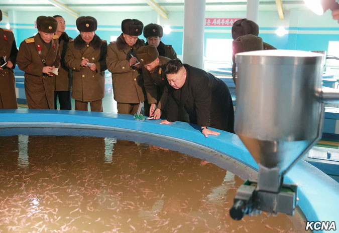 Сомы, венки и День Звезды: неустанные каждодневные труды лидера Северной Кореи